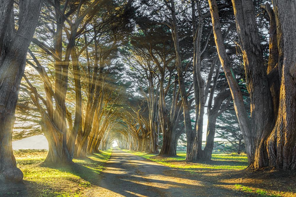 Photograph by David Grenier