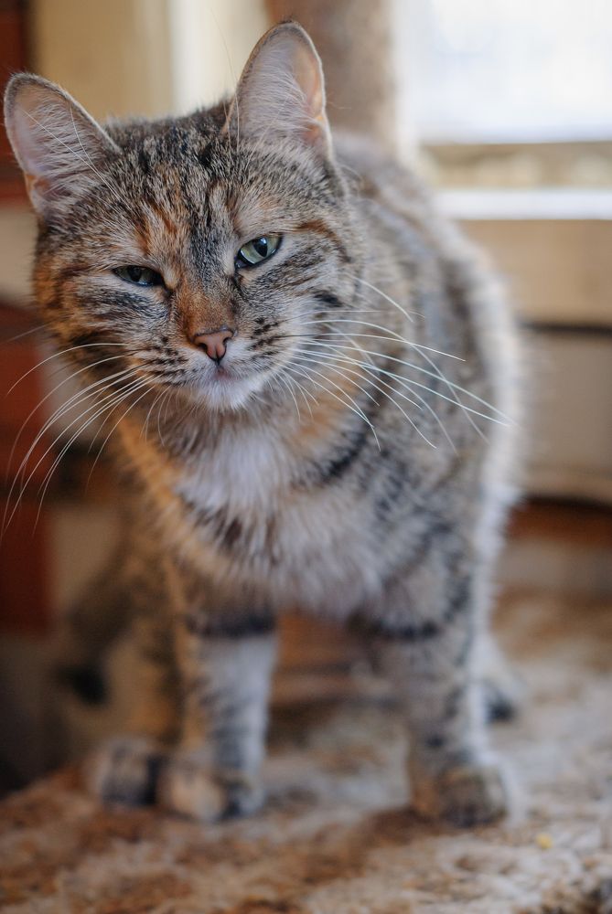 Photograph by Кирилл Богомазов