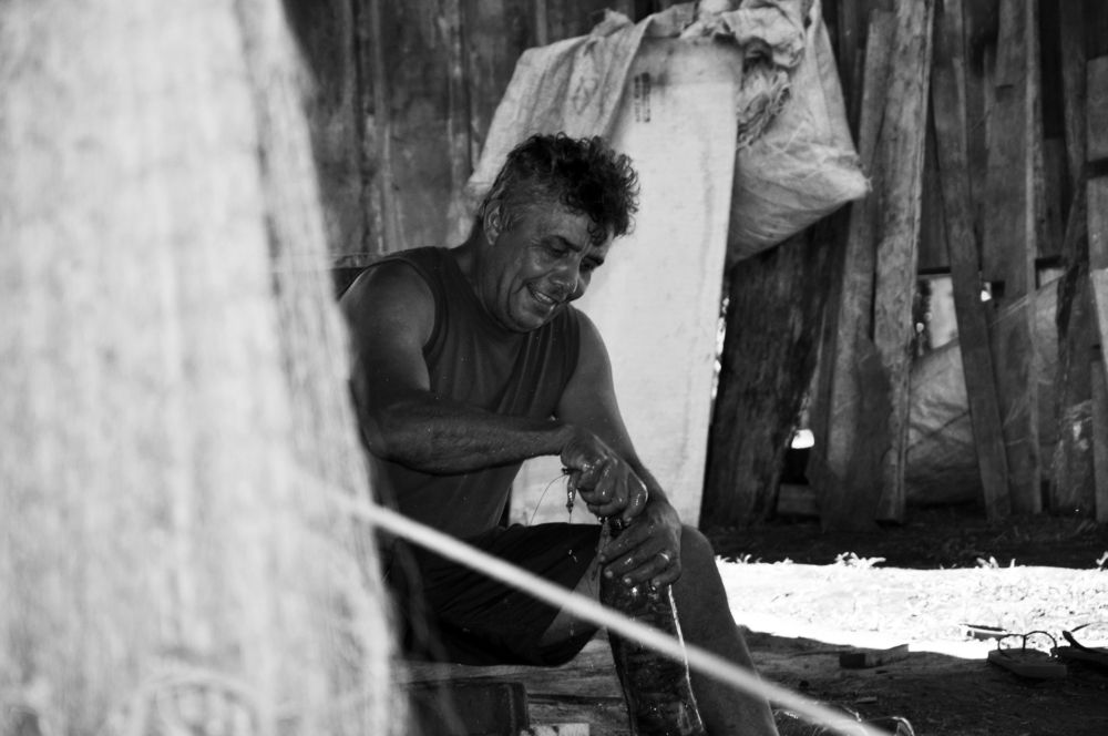 Фотография автора Fernando Rosa