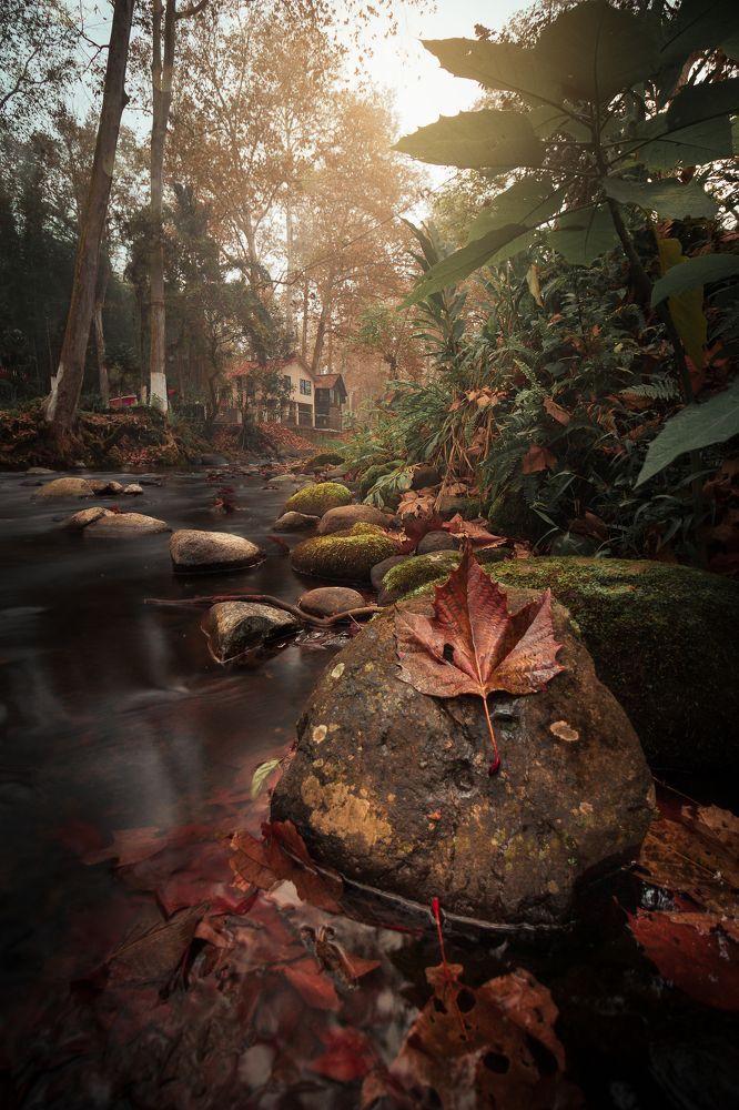 Photograph by Rafael Colorado Arredondo