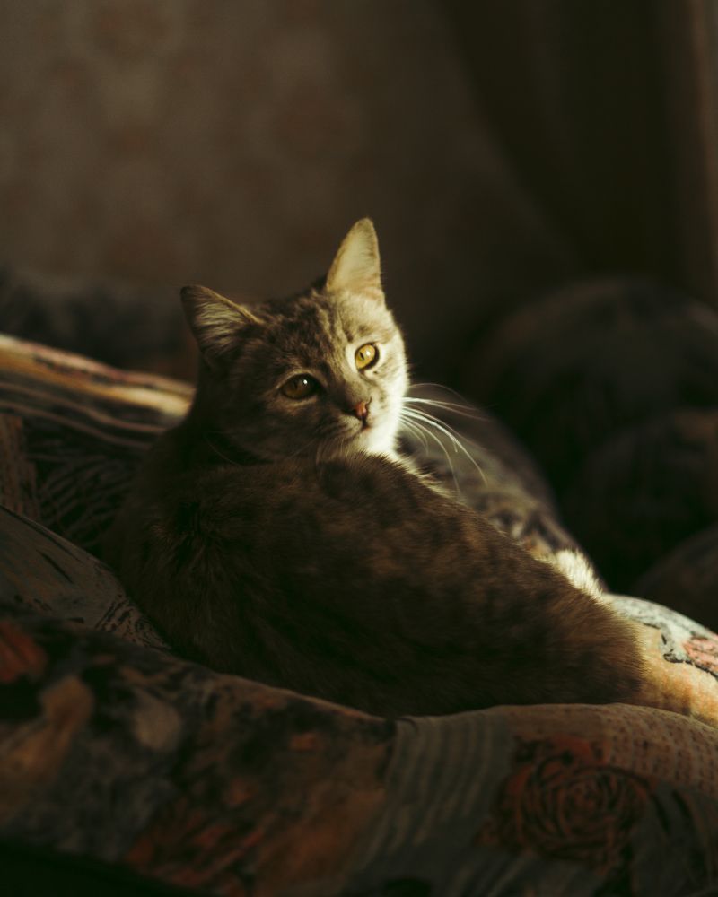 Photograph by aytam zaker