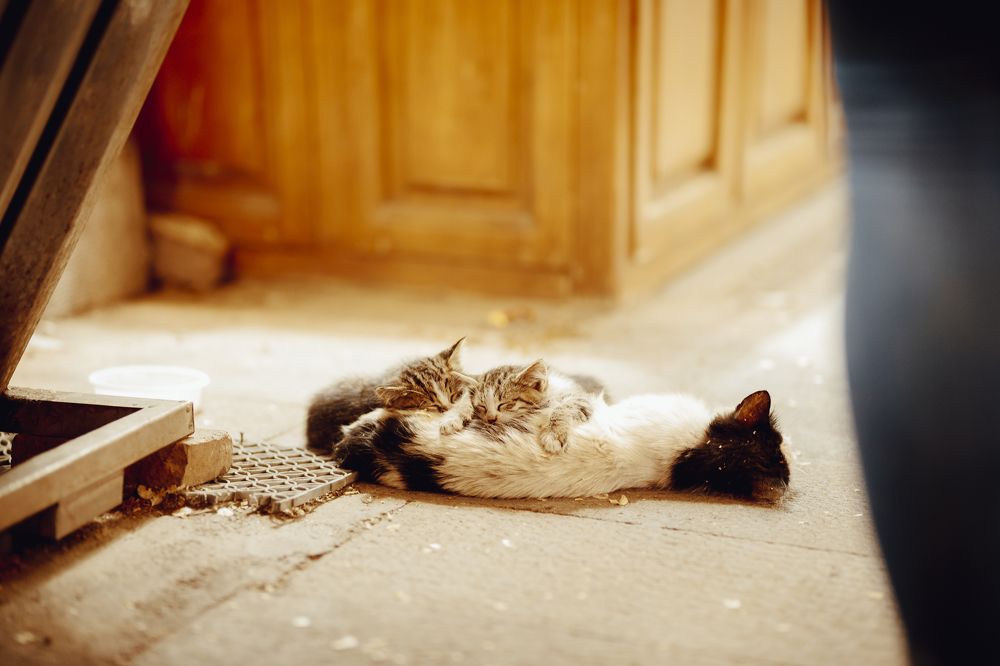 Photograph by aytam zaker