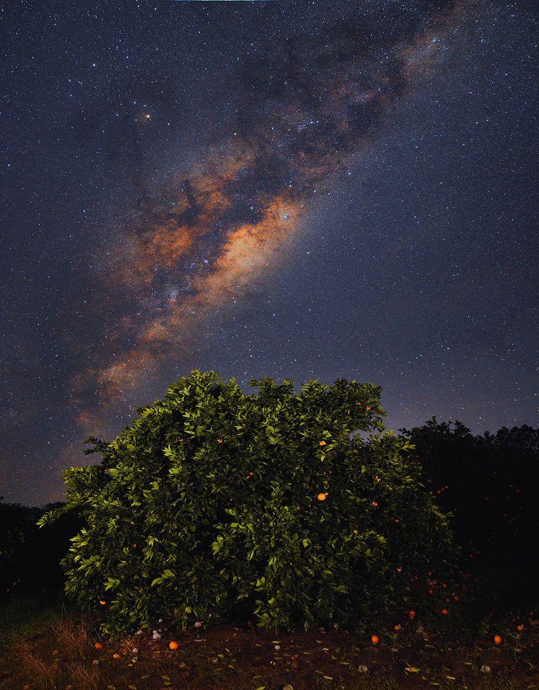 Photograph by agustin molo