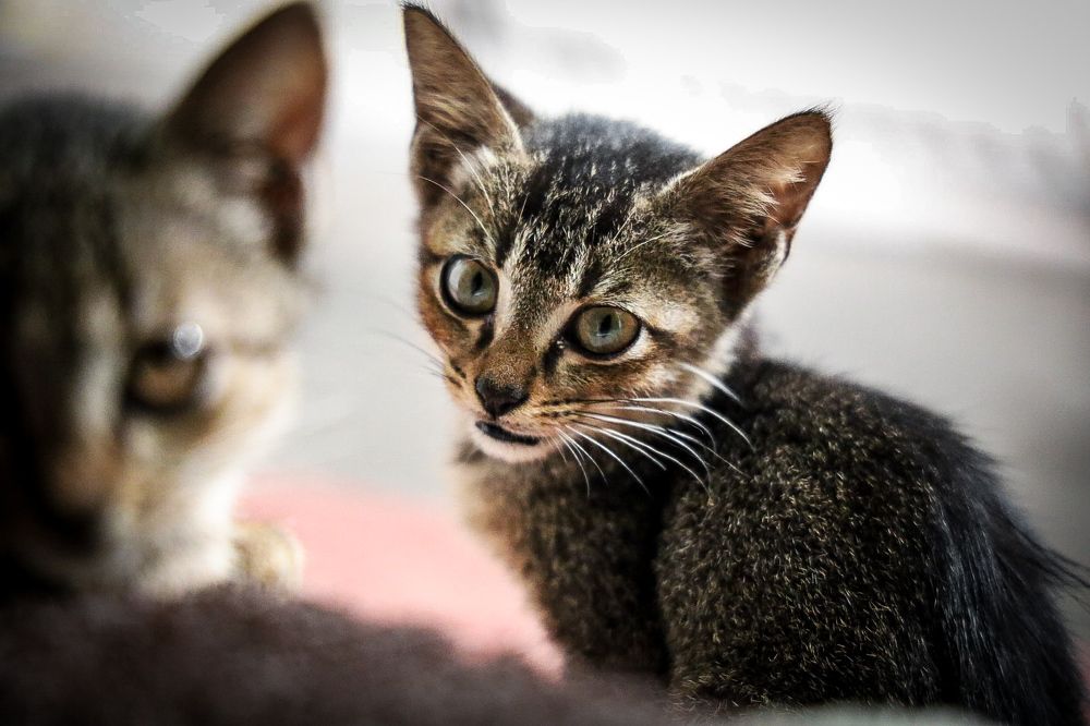 Photograph by Glorius Delima