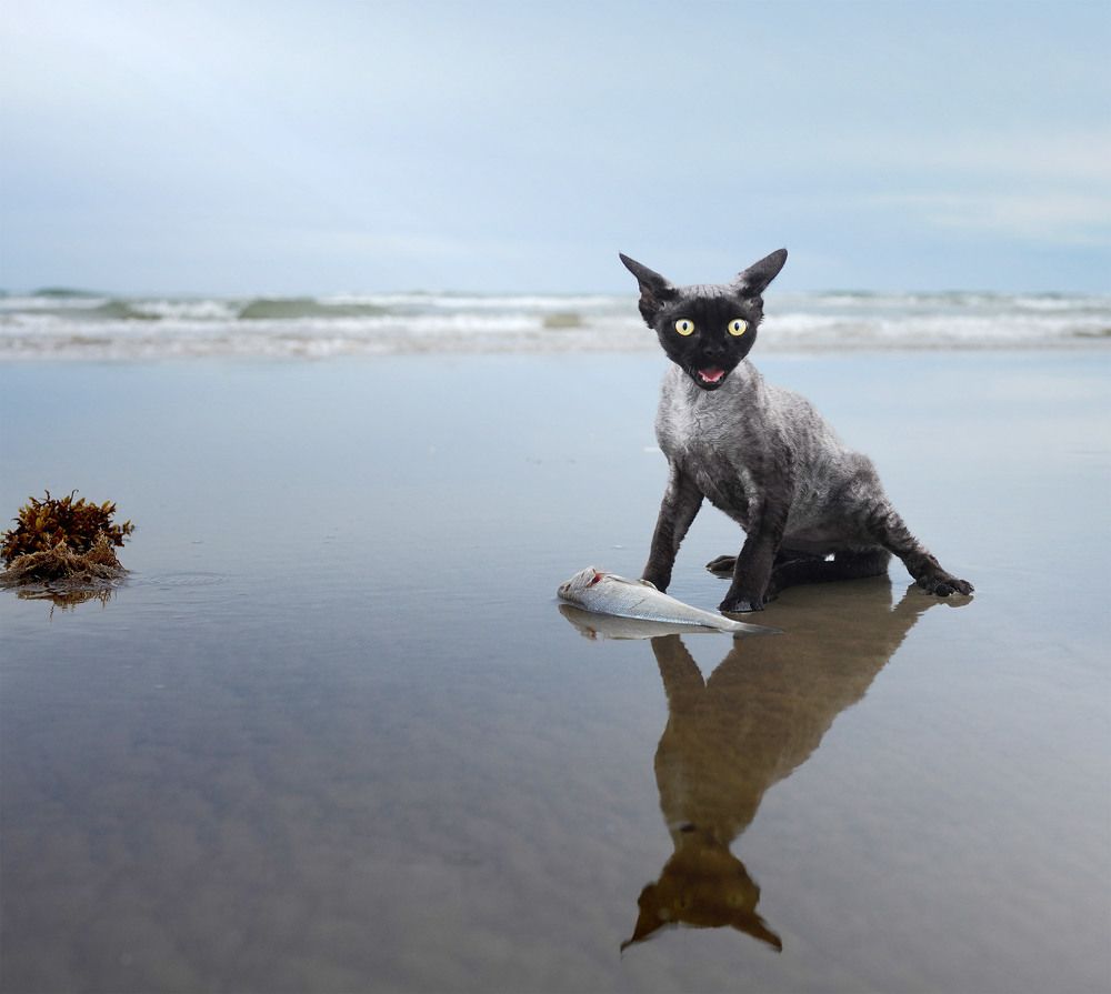 Photograph by Irina Kozhemyakina