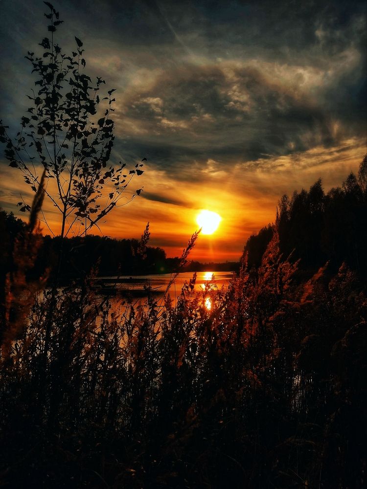 Photograph by СашаДД_