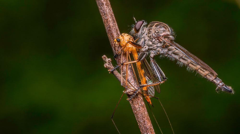 Photograph by Vinod Kumar V K