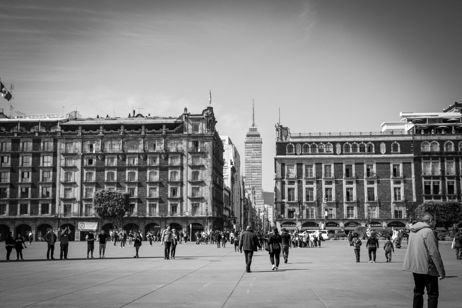 Photo #8835842