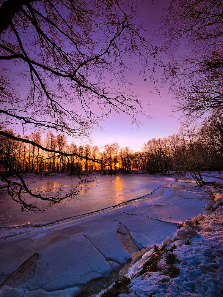 Photograph by Chic.chiquitita