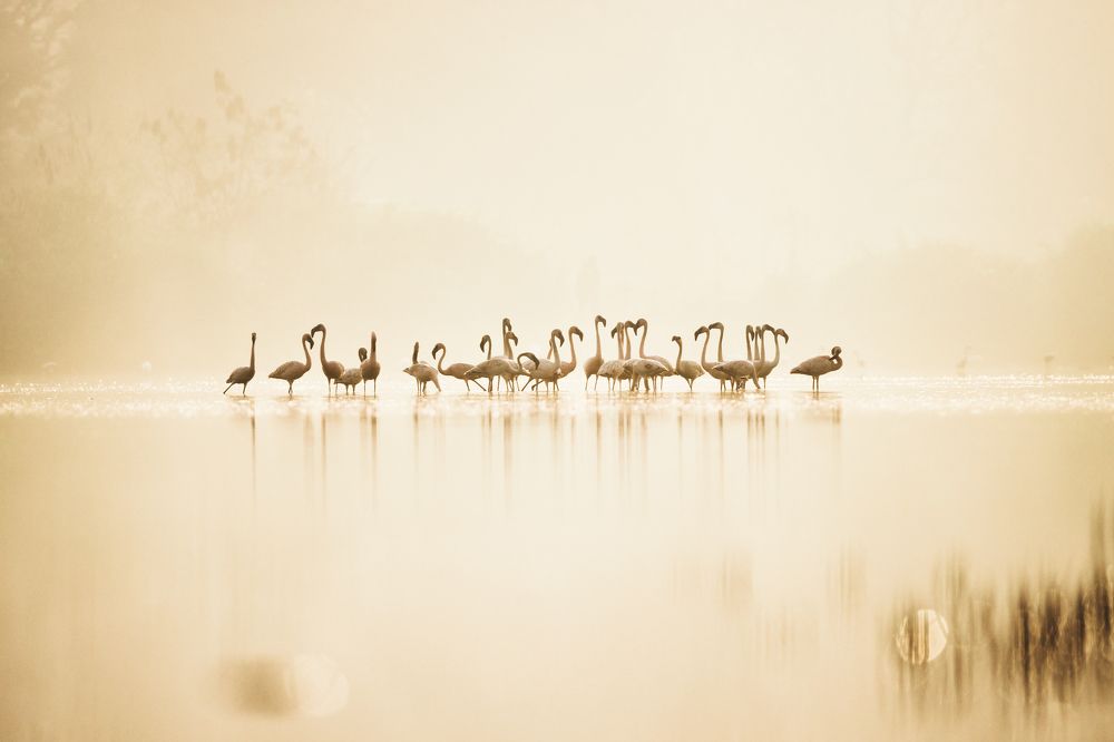 Photograph by Vibhash Garg