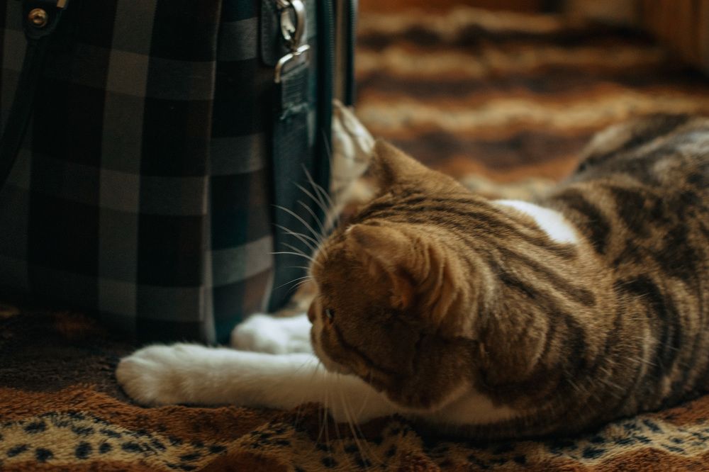 Photograph by Людмила Саенко