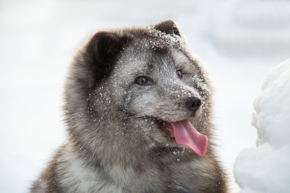 Photograph by Екатерина Абросова