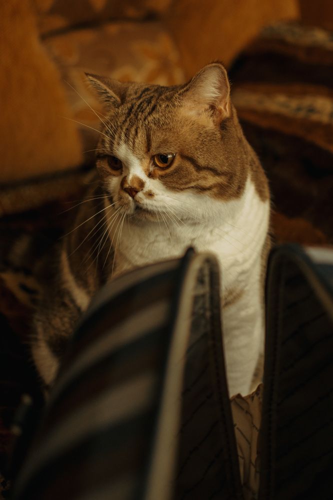 Photograph by Людмила Саенко