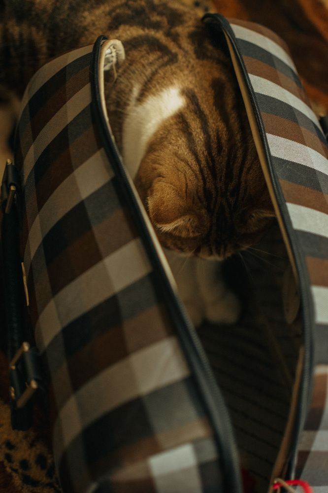 Photograph by Людмила Саенко