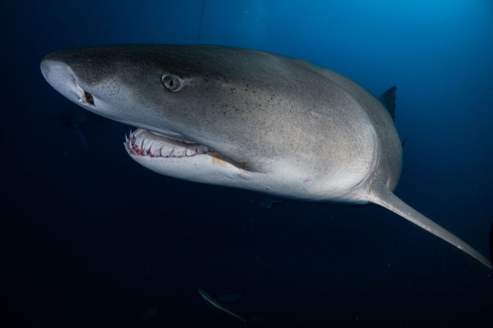 Photograph by Cecilia Muñiz