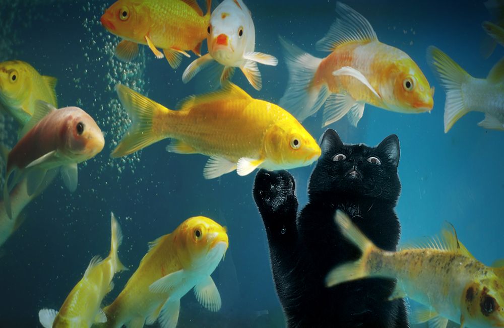 Photograph by Зоя Быкова