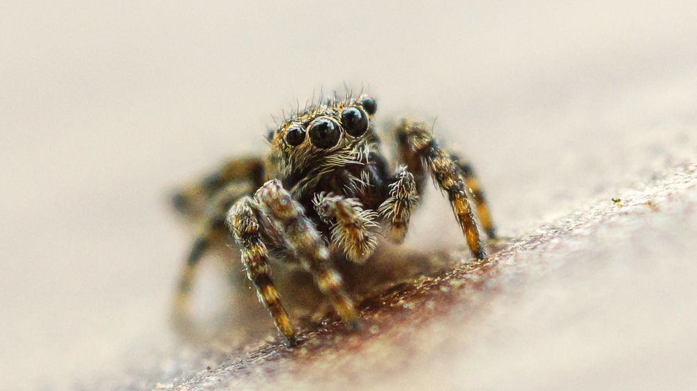 Photograph by Александр Казак