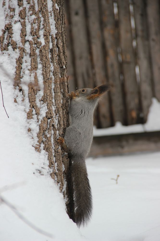 Photograph by Ирина Рудниченко