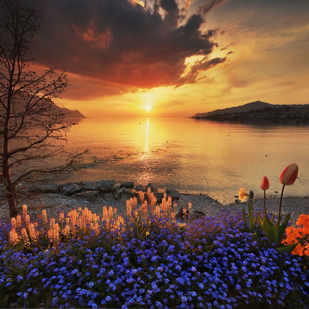 Photograph by Николай Матвеев