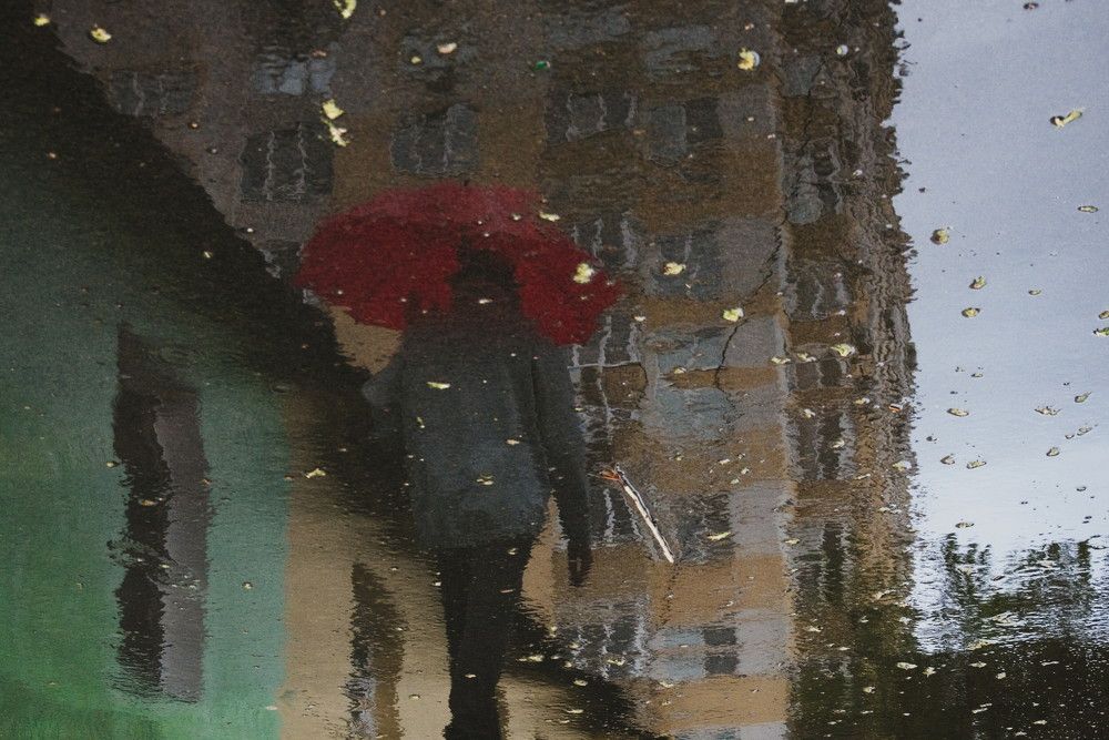 Photograph by dnikishov