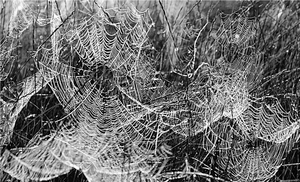 Photograph by Евгений Самулев