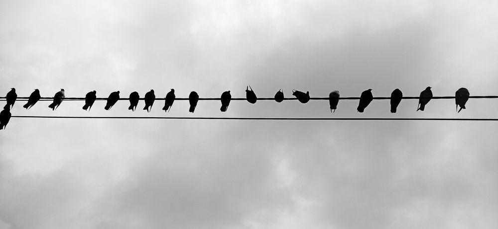 Photograph by Евгений Самулев