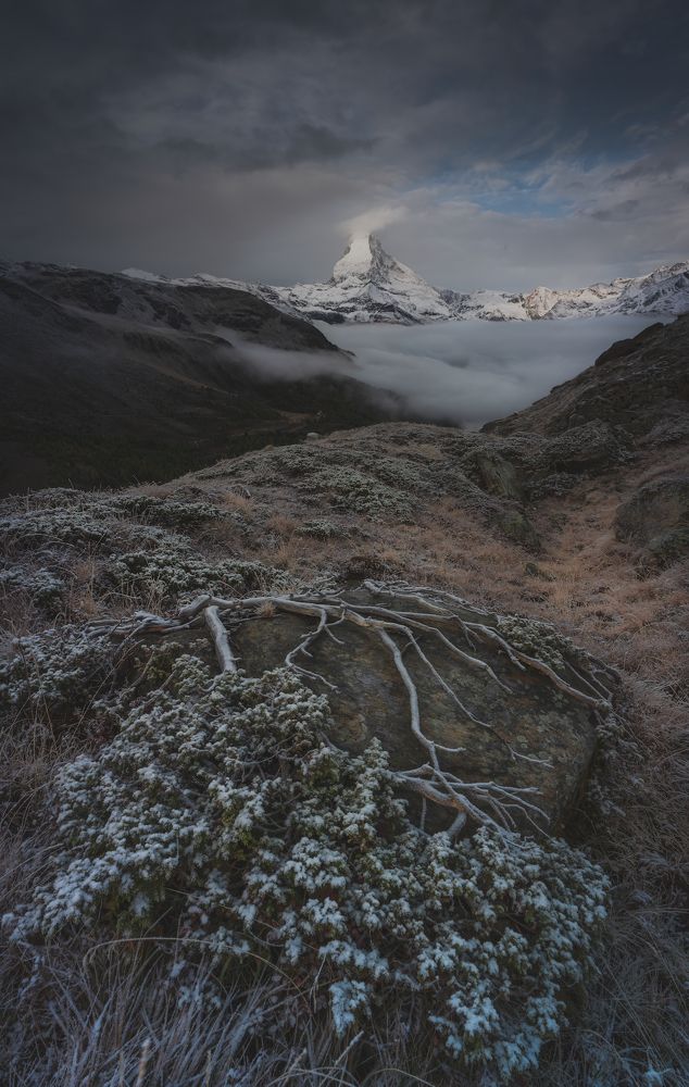 Photograph by Varga Zoltan