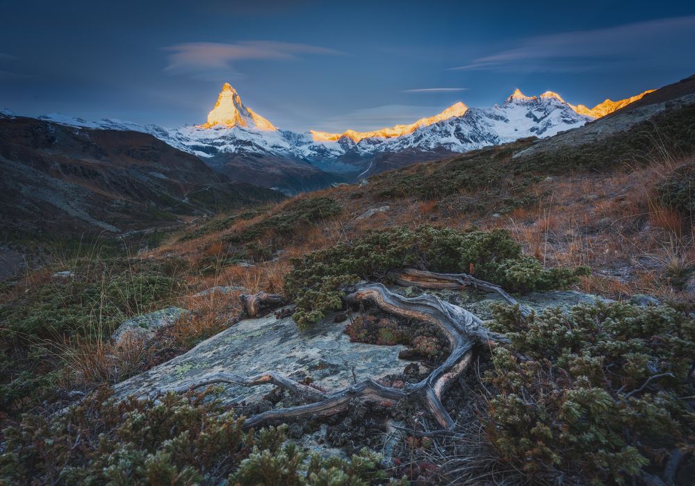 Photograph by Varga Zoltan