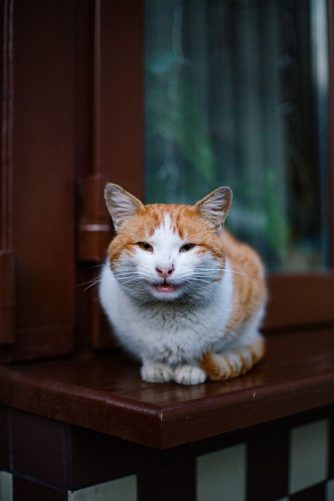 Photograph by Афанасьев Сергей