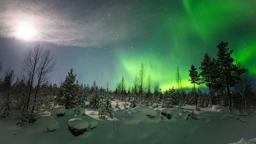 Photograph by alexander kryuchkov