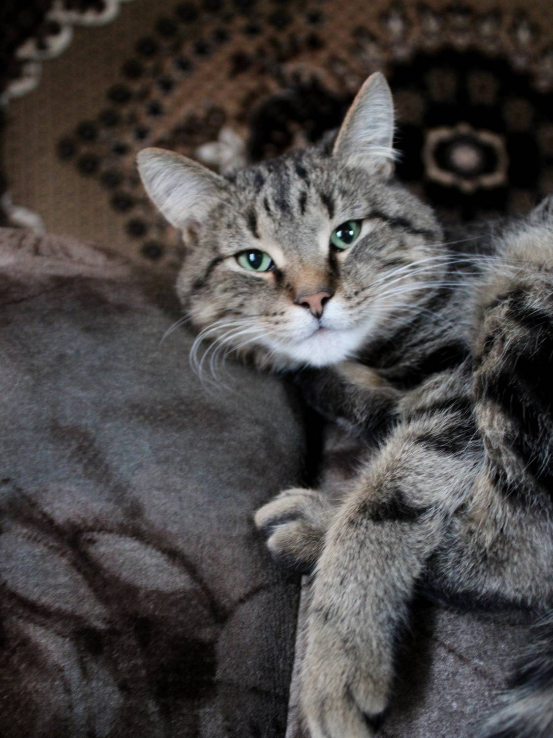 Photo #8836442