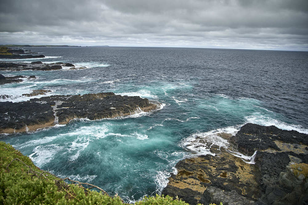 Photograph by Ilia Rozhnov