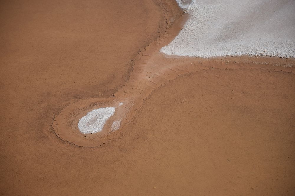 Photograph by Farshad Yazdankhah