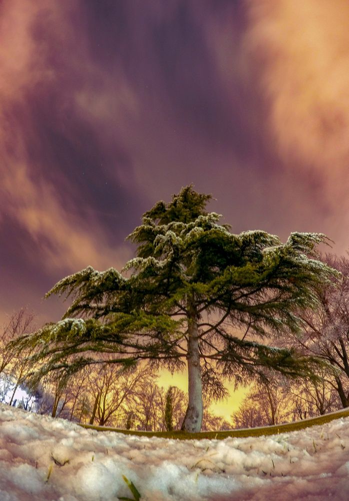 Photograph by Farshad Yazdankhah