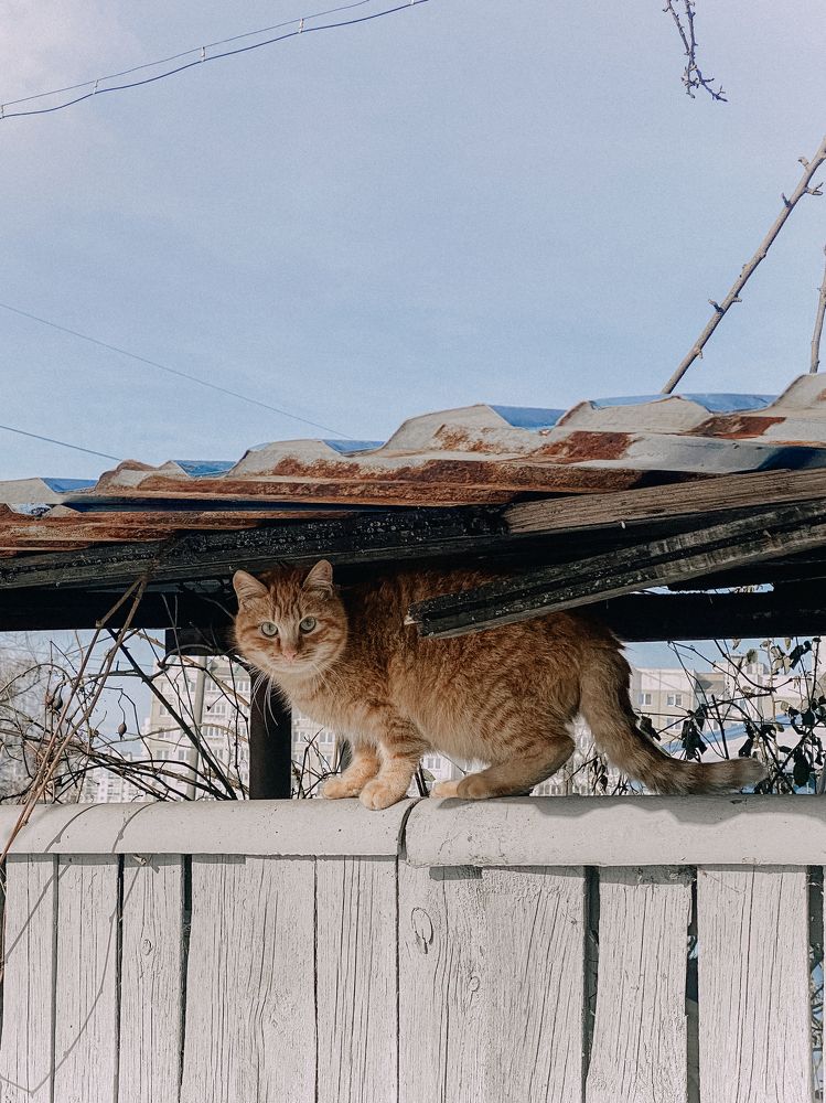 Photograph by Екатерина Бердутина