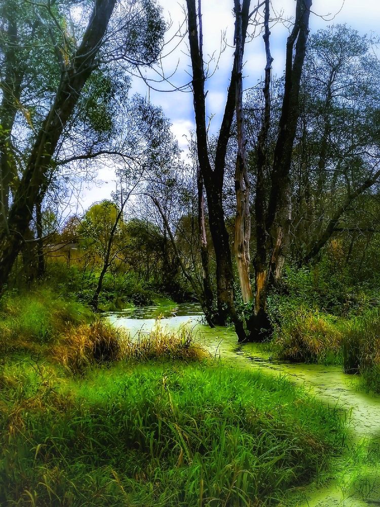 Фотография автора Татьяна Александровна Терехова