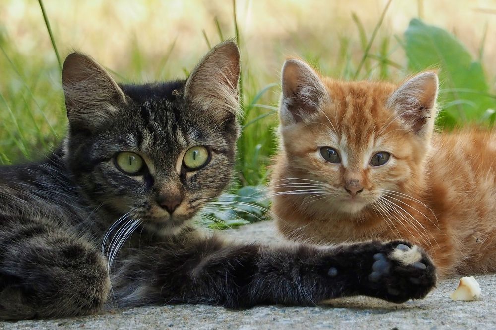 Photograph by Юлия Поршнева