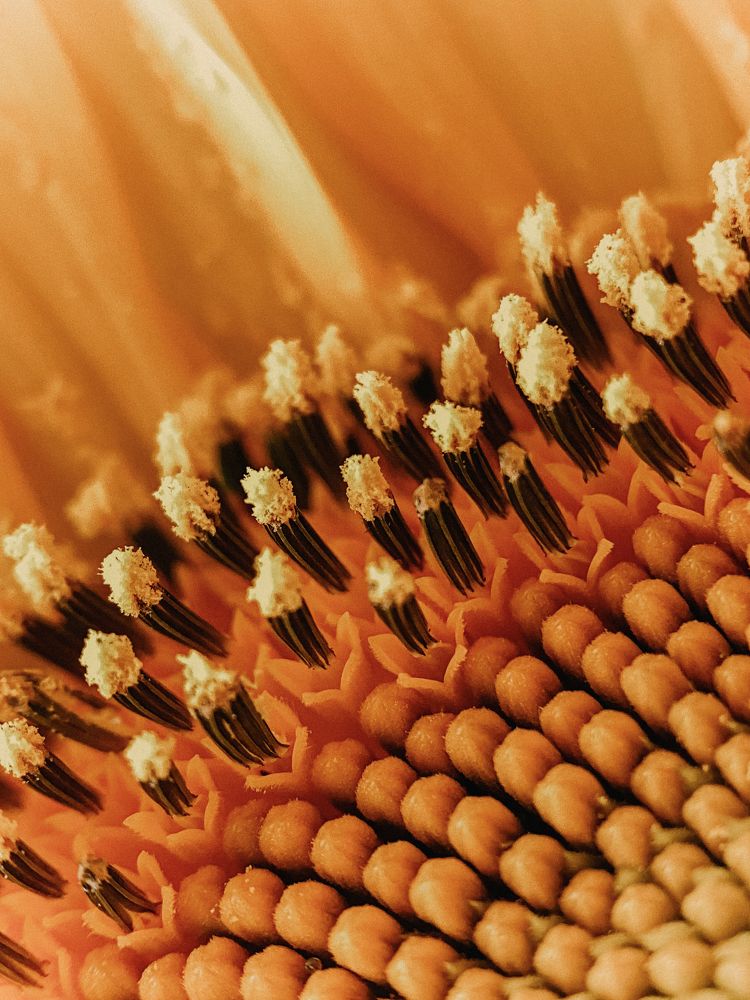 Photograph by Екатерина Бердутина