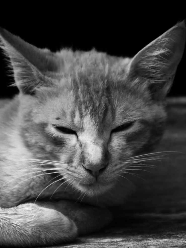 Фотография автора Anurag Banerjee