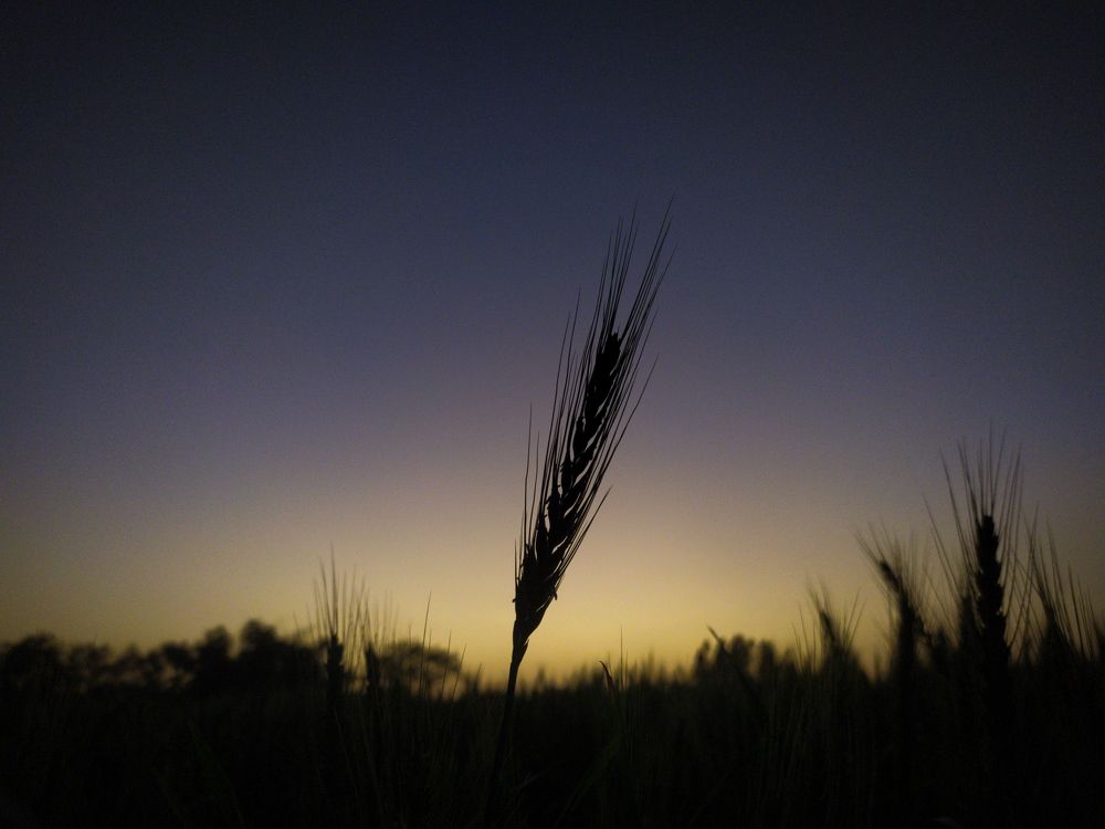 Photograph by Manish Yadav