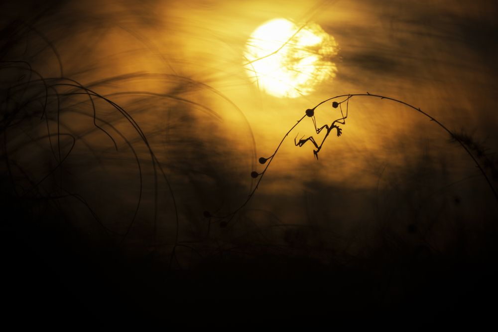 Фотография автора Rok Štirn