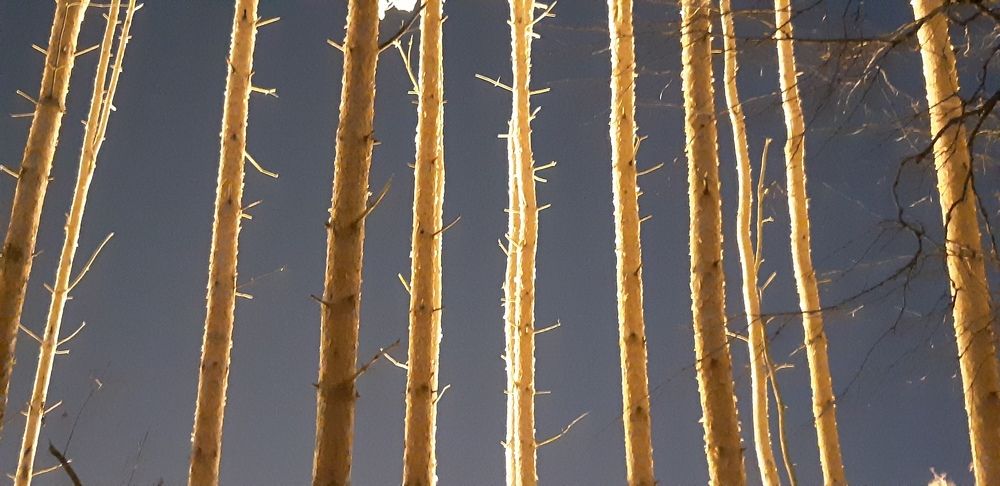 Photograph by Юлия Паршакова