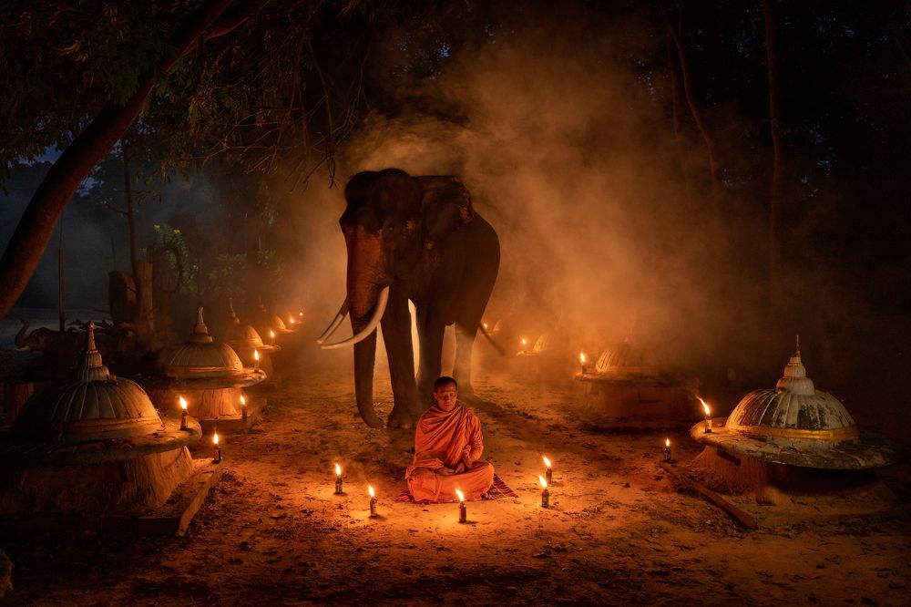 Photograph by SUTIPOND SOMNAM