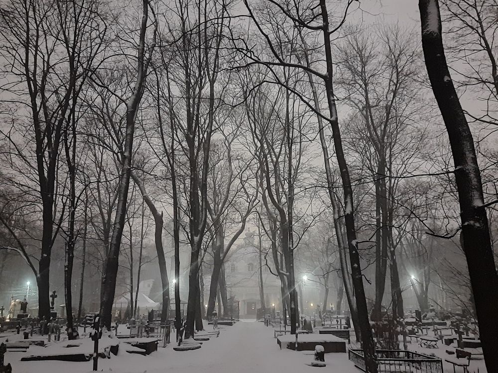 Photograph by Арнаутова Анастасия