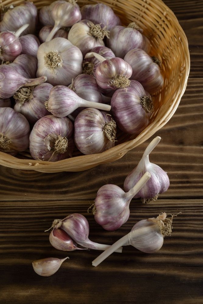 Фотография автора Кирилл Сизов