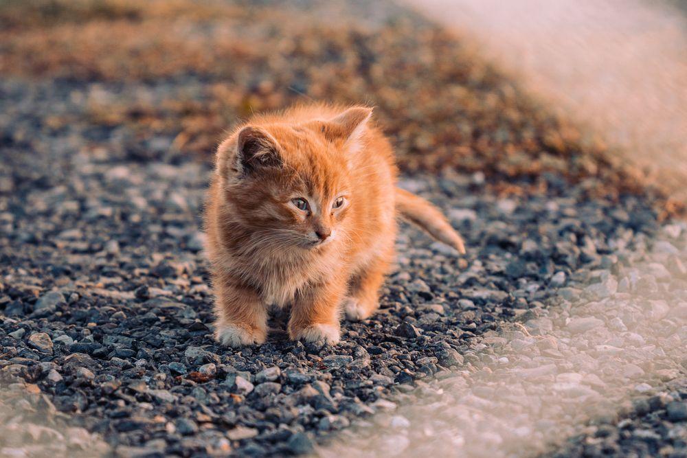 Photograph by Екатерина