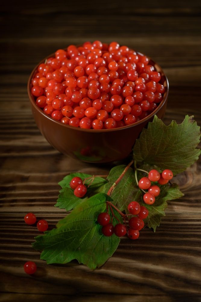 Фотография автора Кирилл Сизов