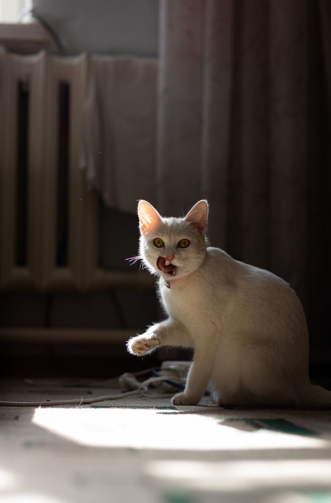 Photograph by Татьяна Лазарева