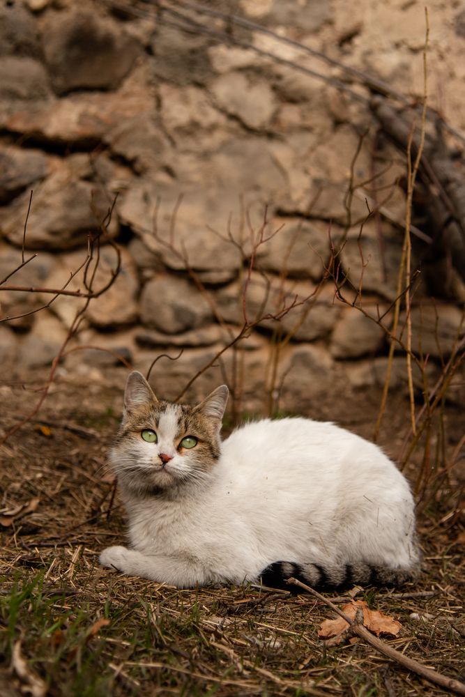 Photograph by Xenia Suvorova