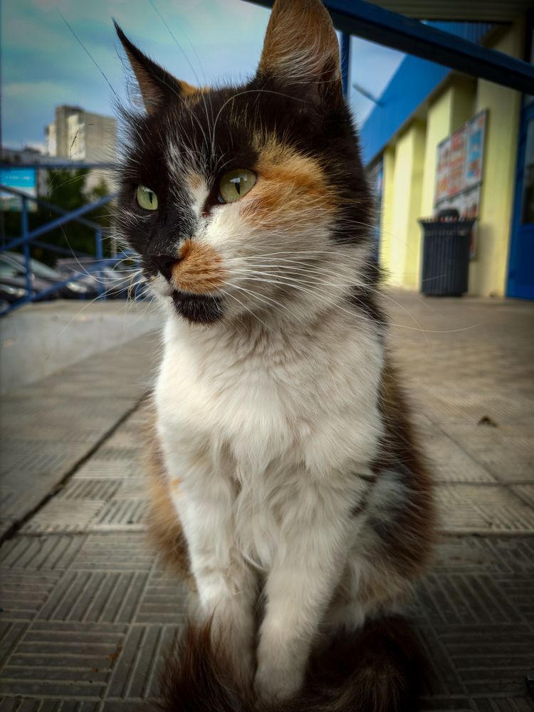 Photograph by Alimovich